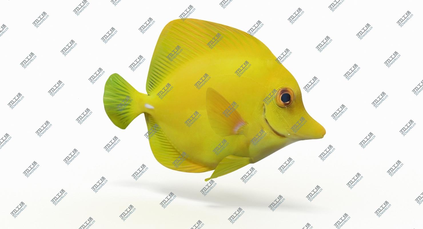 images/goods_img/2021040165/Yellow Tang (Animated) 3D model/2.jpg